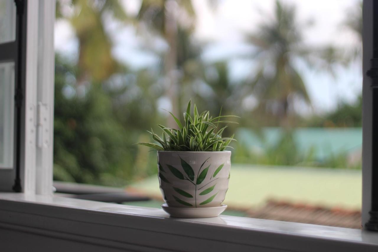 Tiny An Homestay Hue Exterior foto