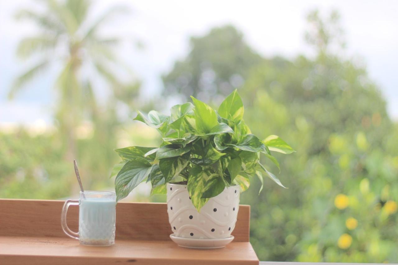 Tiny An Homestay Hue Exterior foto